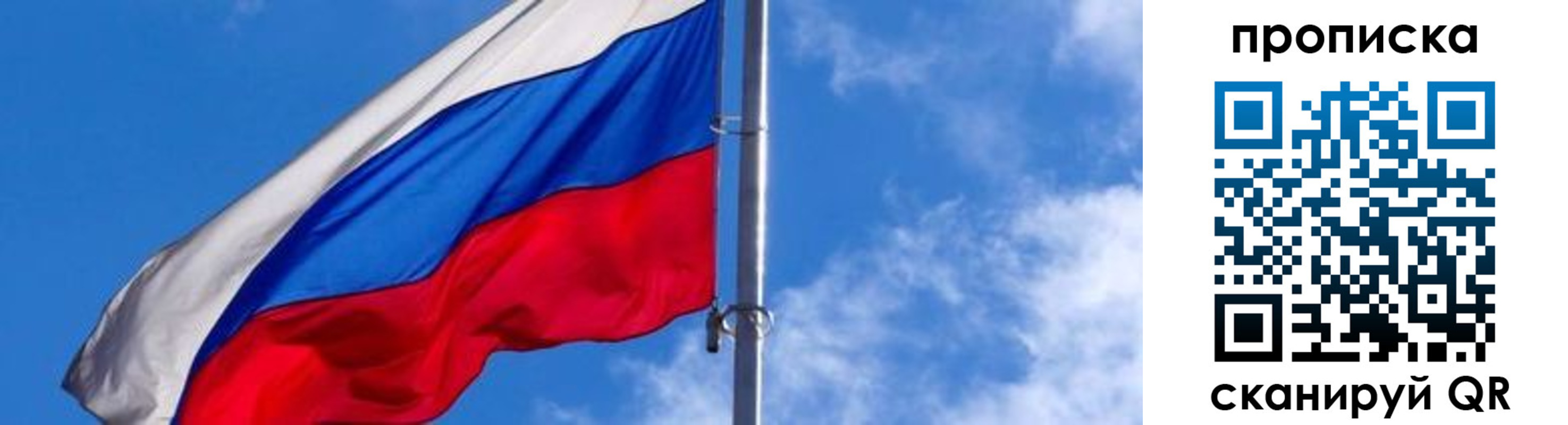 прописка поиск в Сафоново